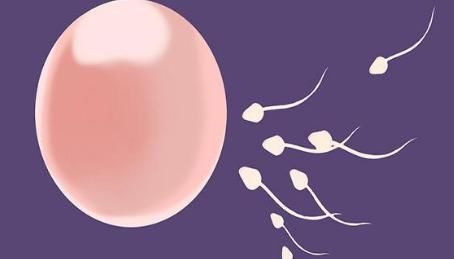  速度|25天来例假和35天来的女人，有何不同？绝经会受到月经周期影响？