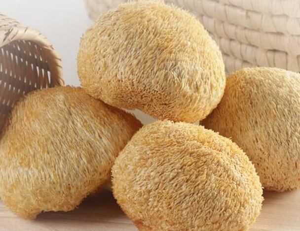 现代人压力大发际线堪忧，如何利用春日养好发？