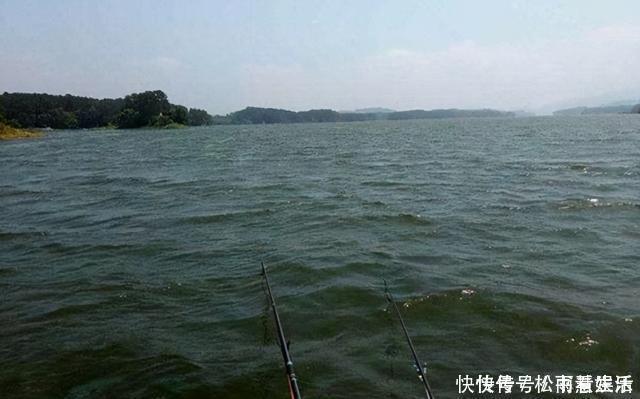 饵料|阴天钓鱼,指着这五个技巧,一年四季都不空军