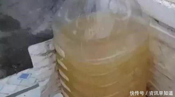 家里养花就用淘米水浇花,这么处理效果一级棒,还能省下大笔钱