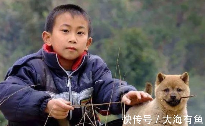 蝙蝠|俗语“四喜不请自来,家中大富大贵”,是什么意思四喜指哪些