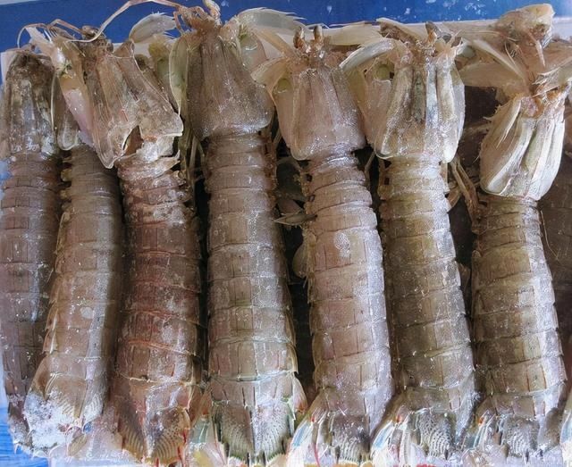 贝类|含“寄生虫”最多的3种海鲜，没营养还贵，商家从不吃，别上当
