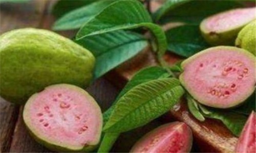 燕窝果|会吃的人最健康，多吃3种食物，美容护肤，排毒清肠，安神助眠