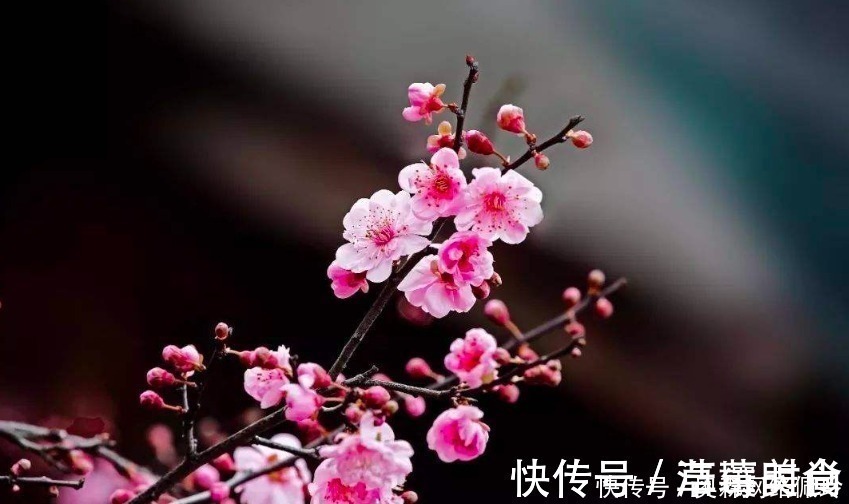 神来之笔&王安石的这首诗并不知名,最后七字却是神来之笔,令人赞叹不已