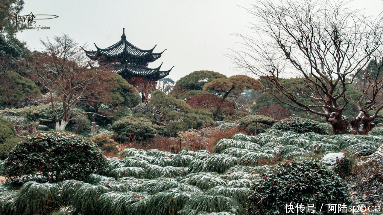 杭州的初雪，总是来得那么突然，使美景更添诗意