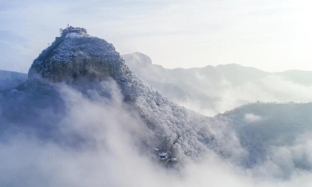 中年|焦作：桃花飞雪醉游人~