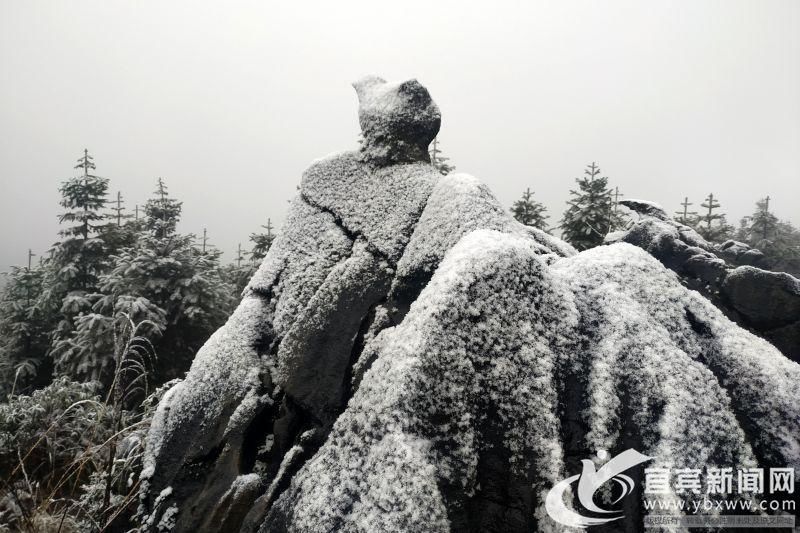 不胜|银装素裹美不胜哉 兴文苗乡迎来今冬首场大雪