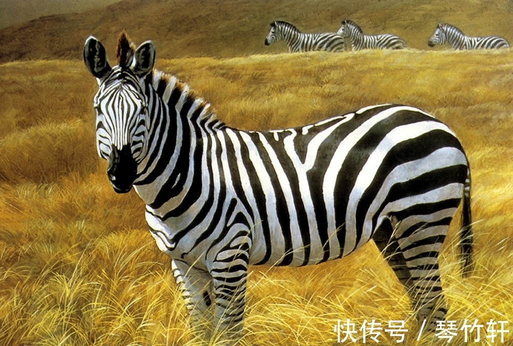 科普|每日科普：趣味冷知识分享（十二）奇怪的知识又增加啦！