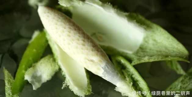 農村地里的這樣野果,稱之為“草藥之王”,能吃又能做藥材!