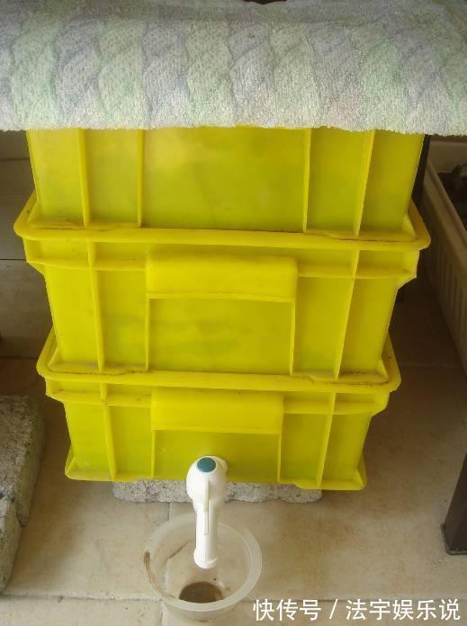 养花|淘米水啤酒水,真不如这种水,养花一绝,浇一盆旺一盆