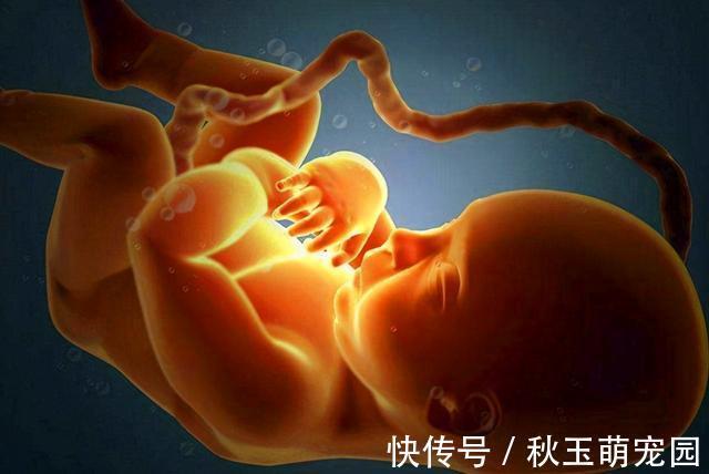 肚子疼!肚脐眼里的“泥”到底是啥?能不能抠?显微镜放大1000倍,真酸爽