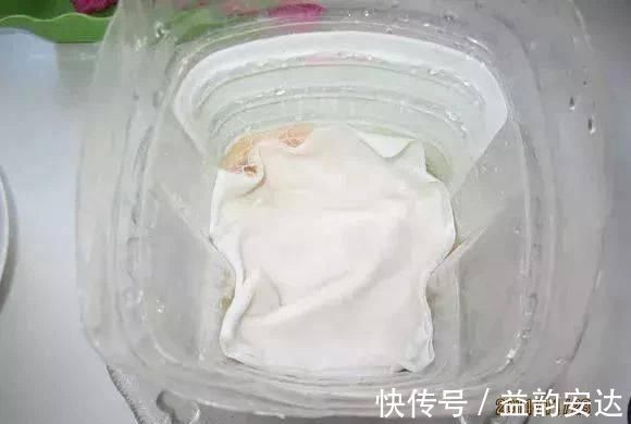 家里的塑料油桶别扔，有3个“妙用”，种菜效率高，扦插生根快