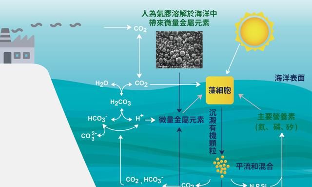 地球真的会在这个世纪达到环境临界点吗？到时人类会灭绝吗？