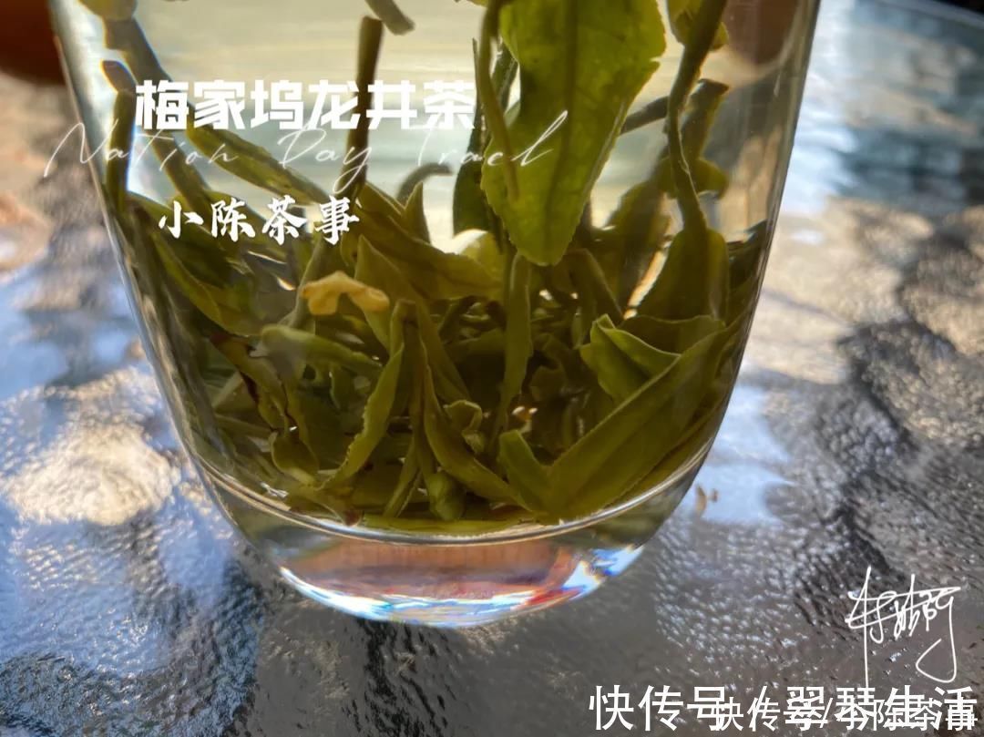 火香#白茶喝起来绿茶差不多，香气都一样？其实它们的香气有3大不同