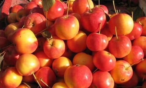 女性|女性不想老太快,常吃3种食物,补充营养,抗衰老,好处多多