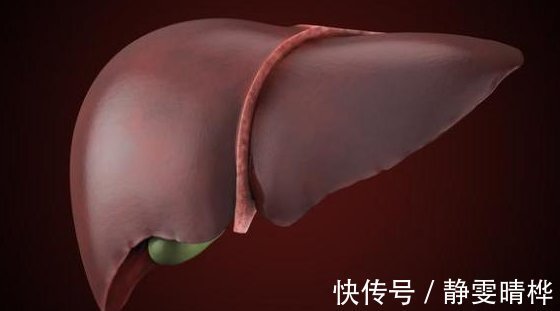 全军覆没|肝脏的“福星”,放到水里泡一泡,肝硬化全军覆没