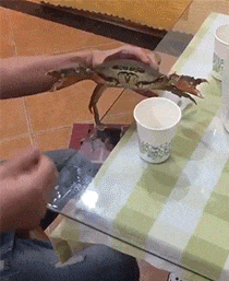 |搞笑GIF:当时妹子就急哭了 再也不穿裙子玩单杠了