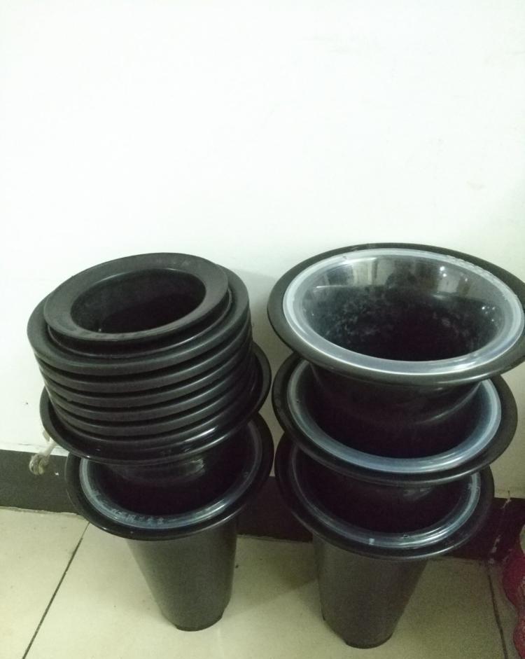 兰花上盆前有“三洗”,老手熟门熟路,新手听着有点懵