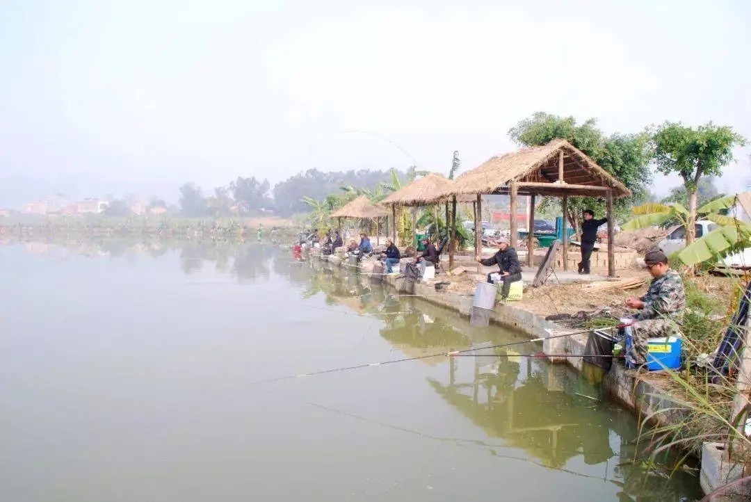 钓位|天气冷了,这个选钓位的“绝招”让你连杆不停!