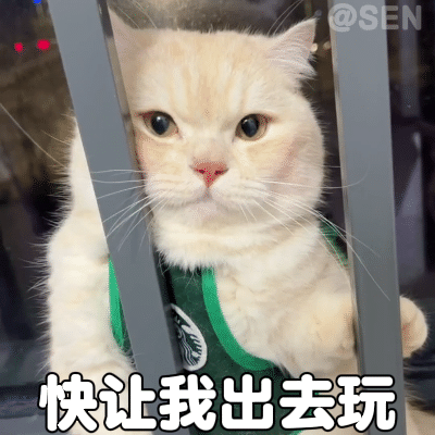 |搞笑表情包|来嘛~