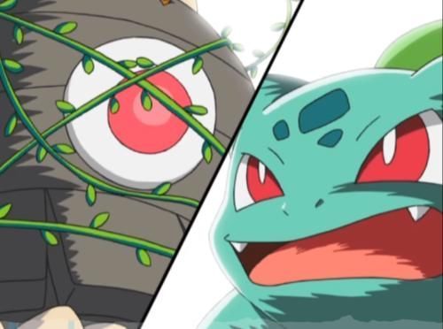 剧本|小智最机智的草系宝可梦,不进化的它仿佛已经看了10年后的剧本