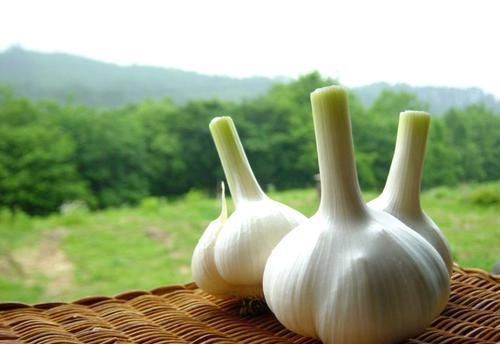 血栓|血液粘稠最怕6种食物,长期坚持吃一点,离血栓更远一点