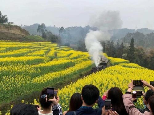 四川犍为：坐上开往花海的小火车