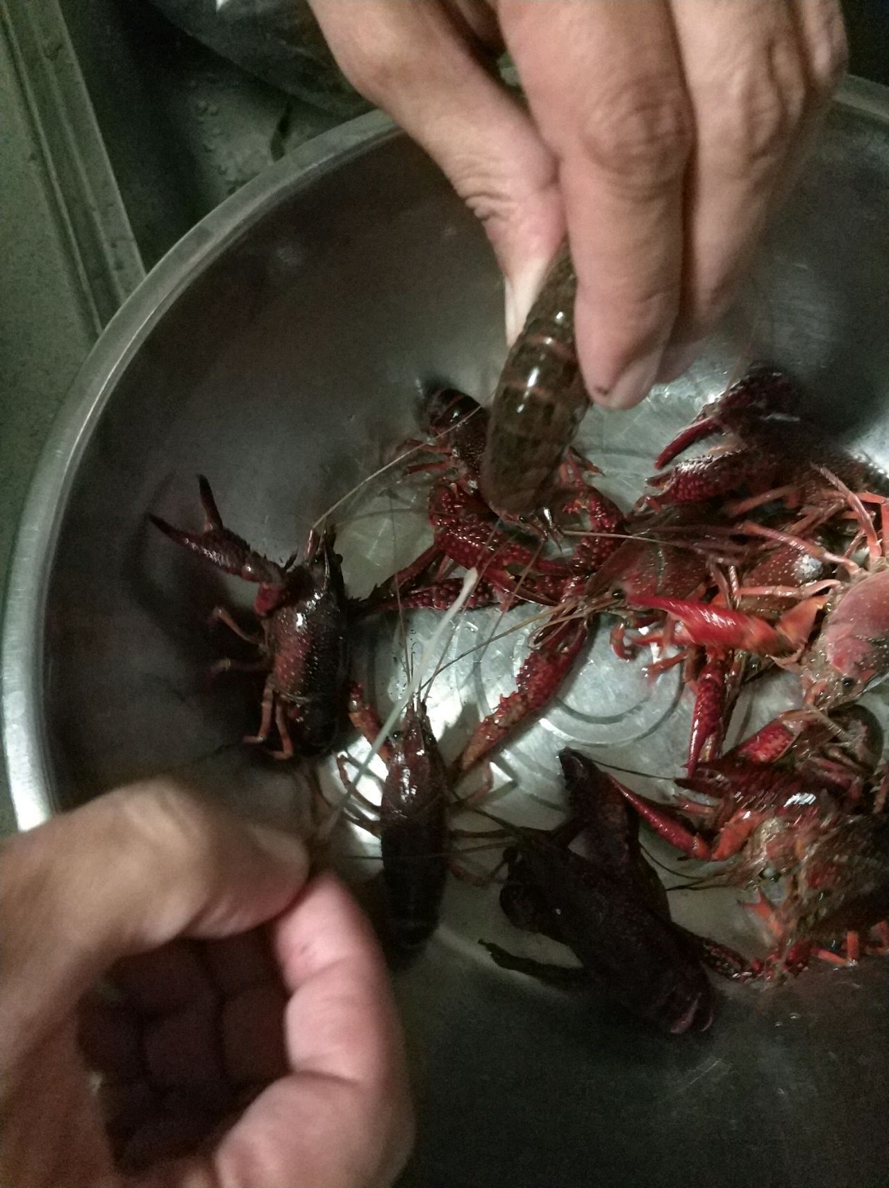 买回来2斤小龙虾,做成蒜蓉口味的,香味浓郁真好吃!