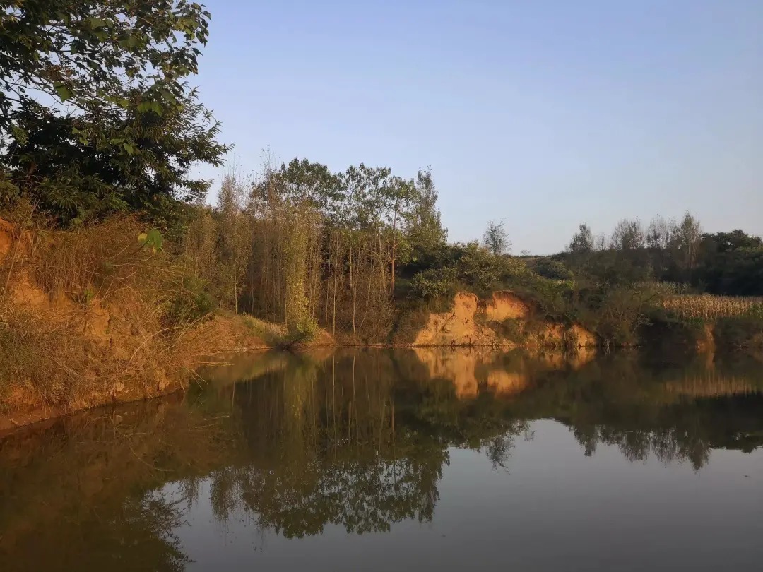 冬钓鲫鱼的“三大注意”，能做到就能保证基本的鱼获