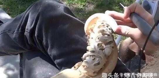 七旬老人花重金买“烂树根”，不惜家庭反目，得知原因后妻子泪崩