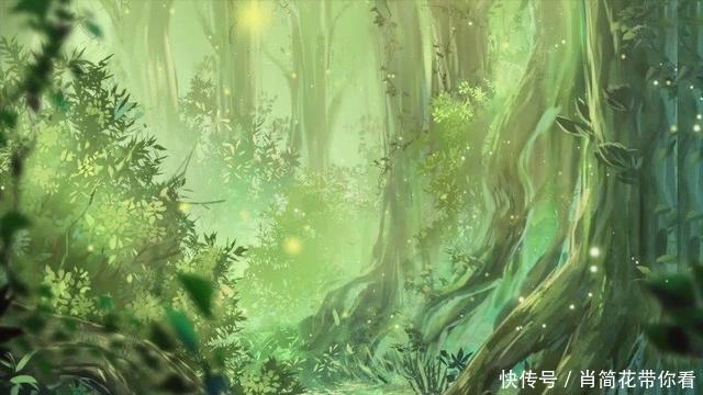 斗罗大陆|如果光头强穿越到斗罗大陆，那么会发生哪些事情呢？