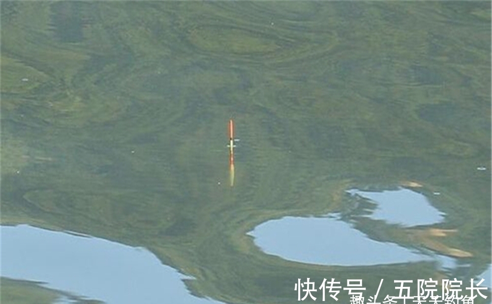 冬钓最大误区：鱼口轻调漂灵，提竿全是“空枪”，浮漂最好这样调