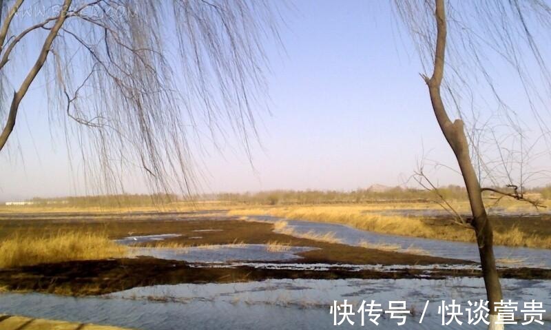 鸟类|北京秋游好去处！风景秀丽芦苇飘荡，门票免费适合自驾