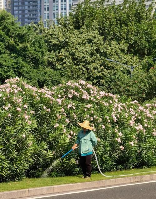 操作|华为Mate 40 Pro相机操作讲解，让拍照更简单高效