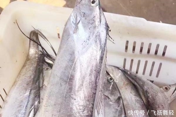 买带鱼时，聪明人遇到“这3种”扭头就走，商贩：从不让家人吃
