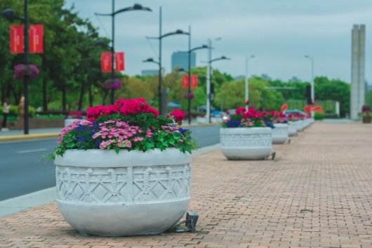 鲜花为笔，画出“五一”花瀑！浦东这些地标变“花境”，个个出片！