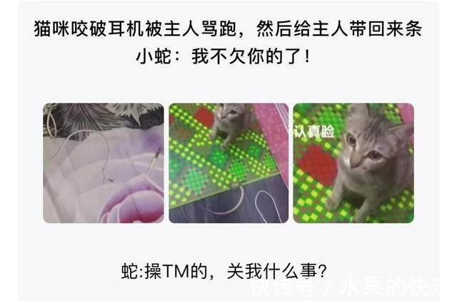 |神评段子合集:离职了如何用鲁迅的口吻写辞职信,然后发朋友圈