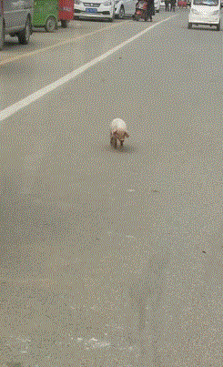 孙悟空大闹天宫近乎无敌,为什么取经的时候有那么多妖怪打不过?