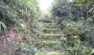 申世|蜀道申世遗,陇蜀道不可缺席