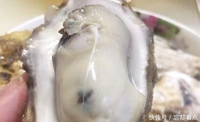 肉质|煮生蚝时，直接下锅大错特错！海边人如此做，煮出的生蚝又鲜又嫩