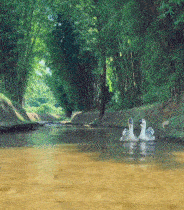 |搞笑GIF趣图:我是让你来锻炼身体的,咋还犯上困了!