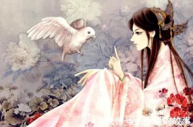 古言|5本古言虐文，助夫君争夺天下，却换来他的二十年冷宫禁锢