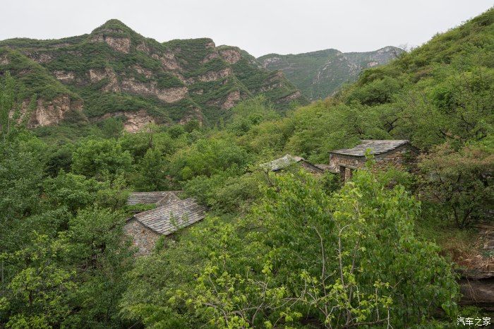 粉红|【郊野行摄】春风拂面，黄栌花开---雨中游京西幽岚山