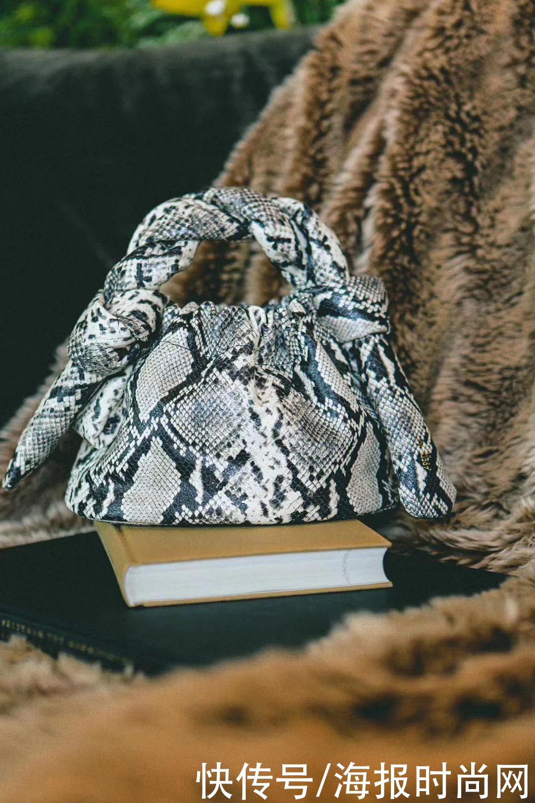 pyo|不背包怎么出门？？反正我是做不到