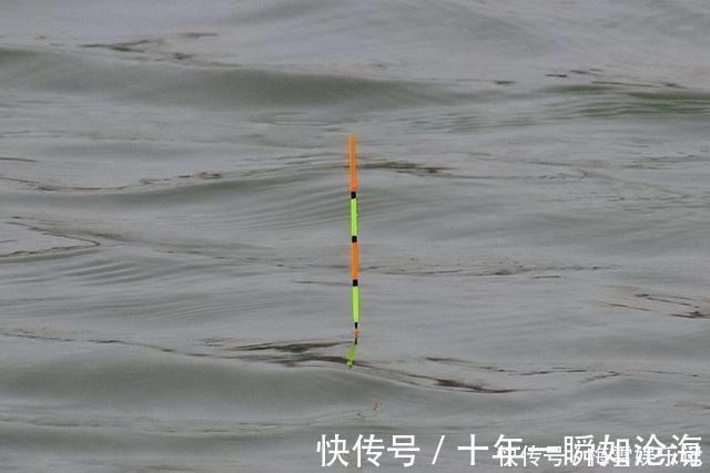 钩饵|野钓调平水钓二目，钩饵在水底的状态，到底有什么实际意义