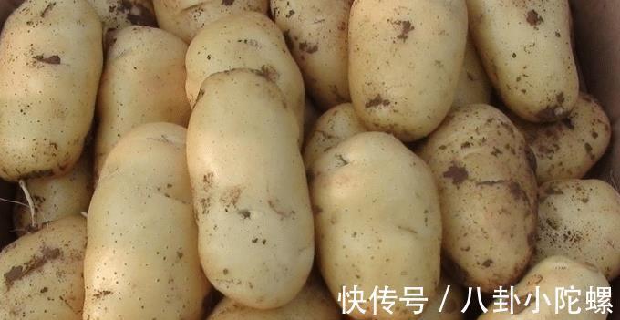 打了激素的土豆怎么区分?内行人教你3招,回回买到优质土豆!