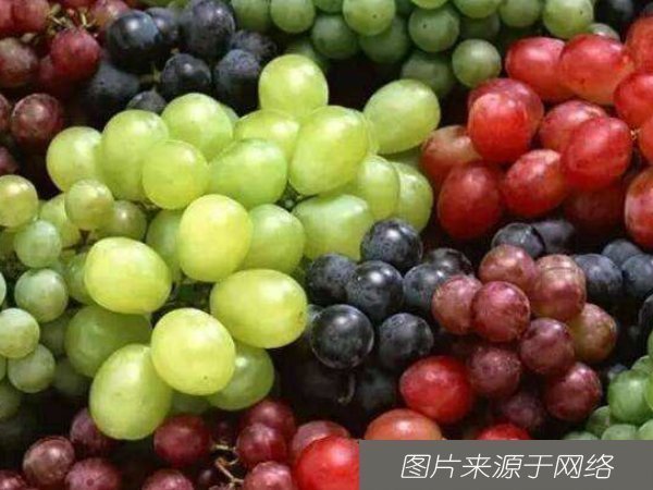 延缓衰老|没钱也要多吃4种抗衰老食物,延缓衰老,皮肤细腻水润年轻10岁