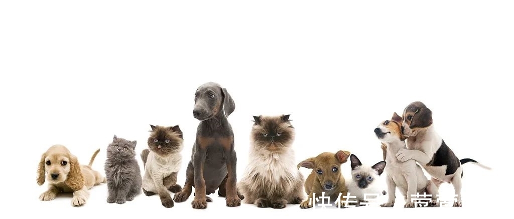 皮肤科|10天不到,小女孩头顶秃了,做这事千万慎重