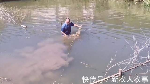 疯狂！男子钓鱼遇“空军”，直接扔掉鱼竿放大招，网友：长见识了