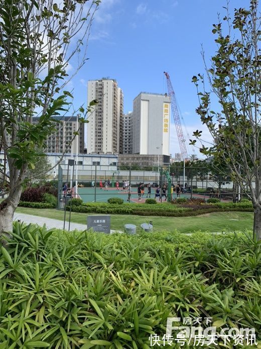 楼盘|想看深圳龙华区楼盘的最新现场实景，选房一定要看